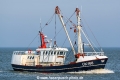 Limanda SH-050325-01.jpg