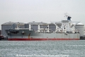 D Whale SH-280113-01.jpg