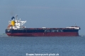Amphitrite (KK-270419-2).jpg