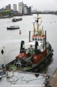 Arion 241014-01.jpg