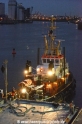 Arion 241014-03.jpg