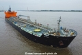 Alkea TL-240823-1.jpg