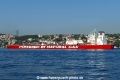 Alfred (OK-200824-5).jpg