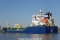 Mergus (WP-010413-1).jpg