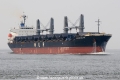 African Halcyon JG-111014-01.jpg