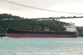 Amphitrite (OK-031013-0).jpg