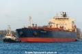 Alpine Pioneer (MM-240323-1).jpg