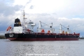 African HHB (OK-280316-3).jpg