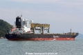 Penguin Arrow RV-310814-05.jpg