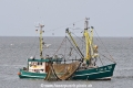 Flamingo JG-030625-1.jpg