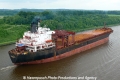 Orinoco Pearl (OK-210613-4).jpg