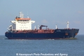 Allegra (OK-310313-0).jpg