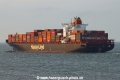 Al Safat TL-060921-8.jpg