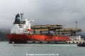 Saga Jandaia RV-240120-02.jpg