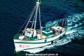 Jimenez K-1982.jpg