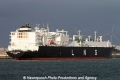 Arctic Aurora SH-301113-01.jpg