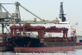 Orinoco Pearl (KB-D180613-05).jpg