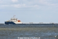 Topaz Chu JG-120621-1.jpg