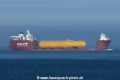 Albatross (MB-270517-1).jpg