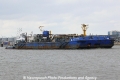 Blue Marlin (OK-220313-5).jpg