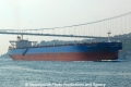 Anangel Ambition (OK-161013-0).jpg