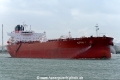 Alfios I (MM-240324-1).jpg