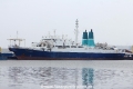 Pacific Guardian (MS-250218-09).jpg
