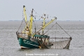 Flamingo JG-030625-2.jpg