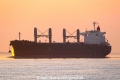 African Seto (KK-310119-0).jpg