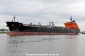 Alkea (OK-190323-1).jpg