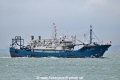 Fu Yuan Yu 818 OS-061022-02.jpg