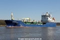 Mergus (WP-010413-0).jpg
