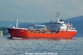 Alfa Sea OK-270714-02.jpg