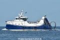 Ensis HK-280623-1.jpg