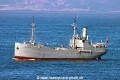 Hestmanden TL-250624-1.jpg