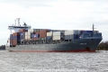 Akacia (OK-300113-1).jpg