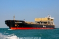 Penguin Arrow OS-280214-07.jpg