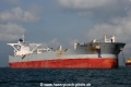 E Whale OS-160313-04.jpg