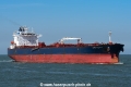 Alpine Pacifica (MM-290423-2).jpg