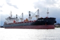 African HHB (OK-280316-1).jpg