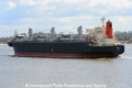 Dalia 070412-07.jpg