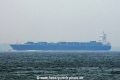 Algarrobo OS-111014-03.jpg