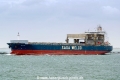 Osakana SH-250525-01.jpg