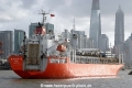Daisy-T (MS-090807-2).jpg