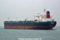 Afra Willow HK-171216.jpg