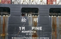 YM Pine Heck SI-250606.jpg