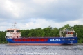 Eems Bison JB-240525-03.jpg