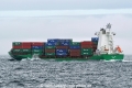 Elbcarrier HK-120818-2.jpg