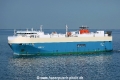 Nordic Ray HK-270824.jpg