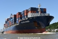 CMA CGM Lavender 110615-08.jpg
